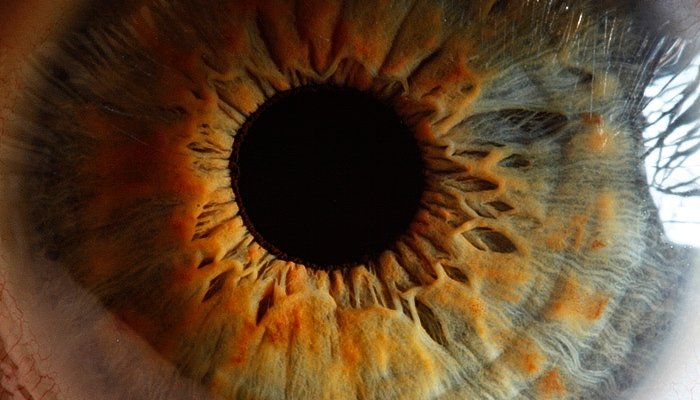 Incredible Closeups Of The Human Eye The Super Bang